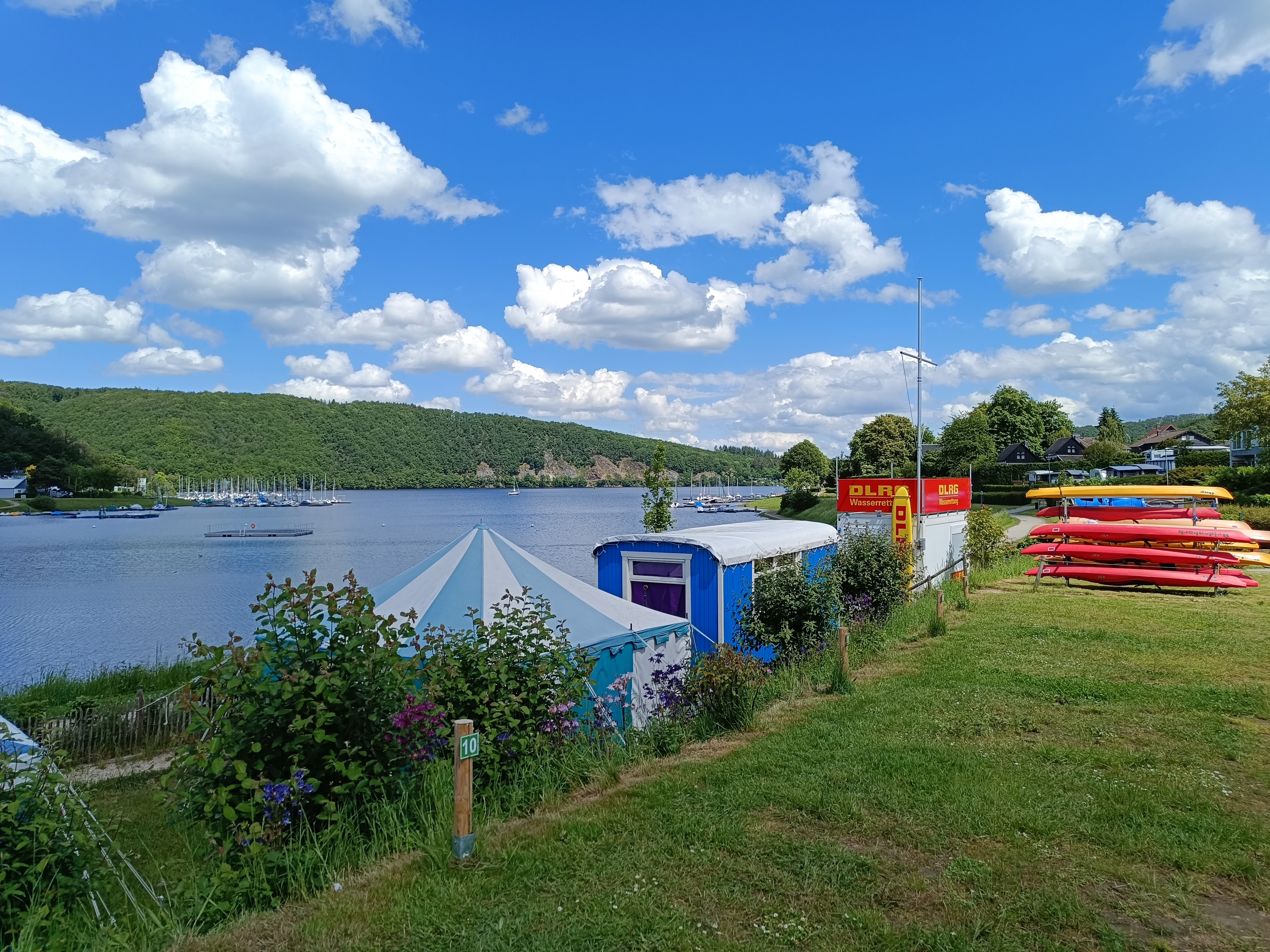 Zeltwiese 1Campingplatz Rursee Camping