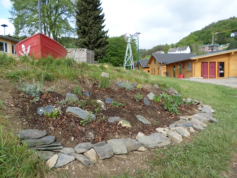 KrutergartenCamp